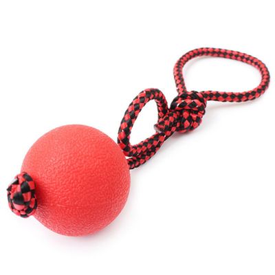 Boowhol Dog Toy Ball