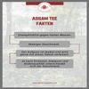 Lerbs & Hagedorn Assam FOP Towkok Black Tea, Mild & Spicy, 1 kg (approx. 81 liters) view 4