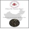 Lerbs & Hagedorn China Yunnan Green Tea | Fresh, Delicate, Aromatic, 1 kg (approx. 81 liters), Loose-Leaf Tea with Tips view 1