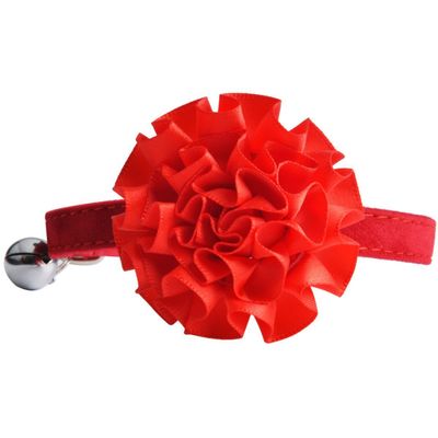 BbearT Cat Collar for Small Dogs and Puppies