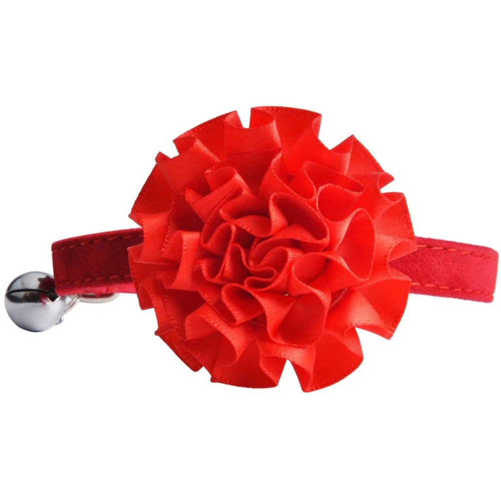 BbearT Cat Collar for Small Dogs and Puppies