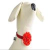 BbearT Cat Collar for Small Dogs and Puppies view 3