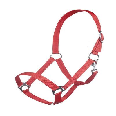HKM Innsbruck Halter Dark Brown Warmblood
