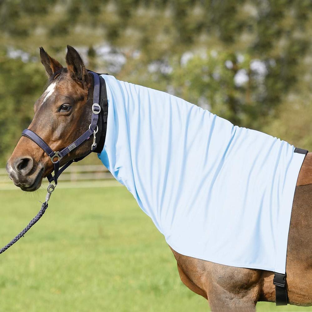 EXTENSIVE Sweet Itch Neck Cover