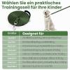 HAPPY HACHI Long Leash for Dogs, 3–33 m view 4