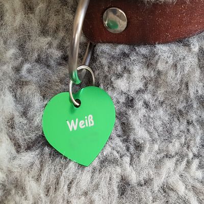 Gravuren.store 2-Pack Heart Dog/Cat Tags