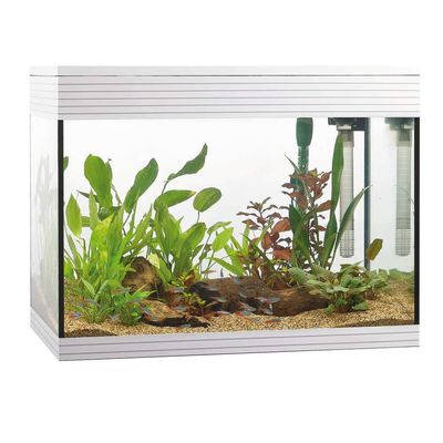 Askoll Pure Aquarium, 68 L, White