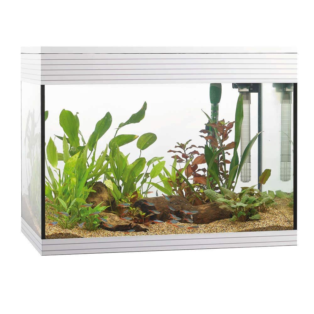 Askoll Pure Aquarium, 68 L, White