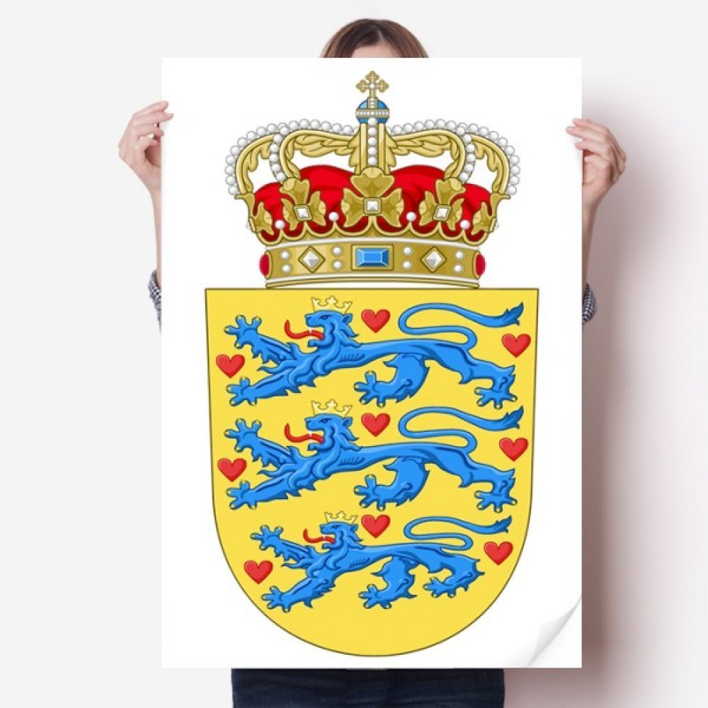 DIYthinker Denmark National Emblem Vinyl Wall Sticker, 80 x 55 cm, Multicolor