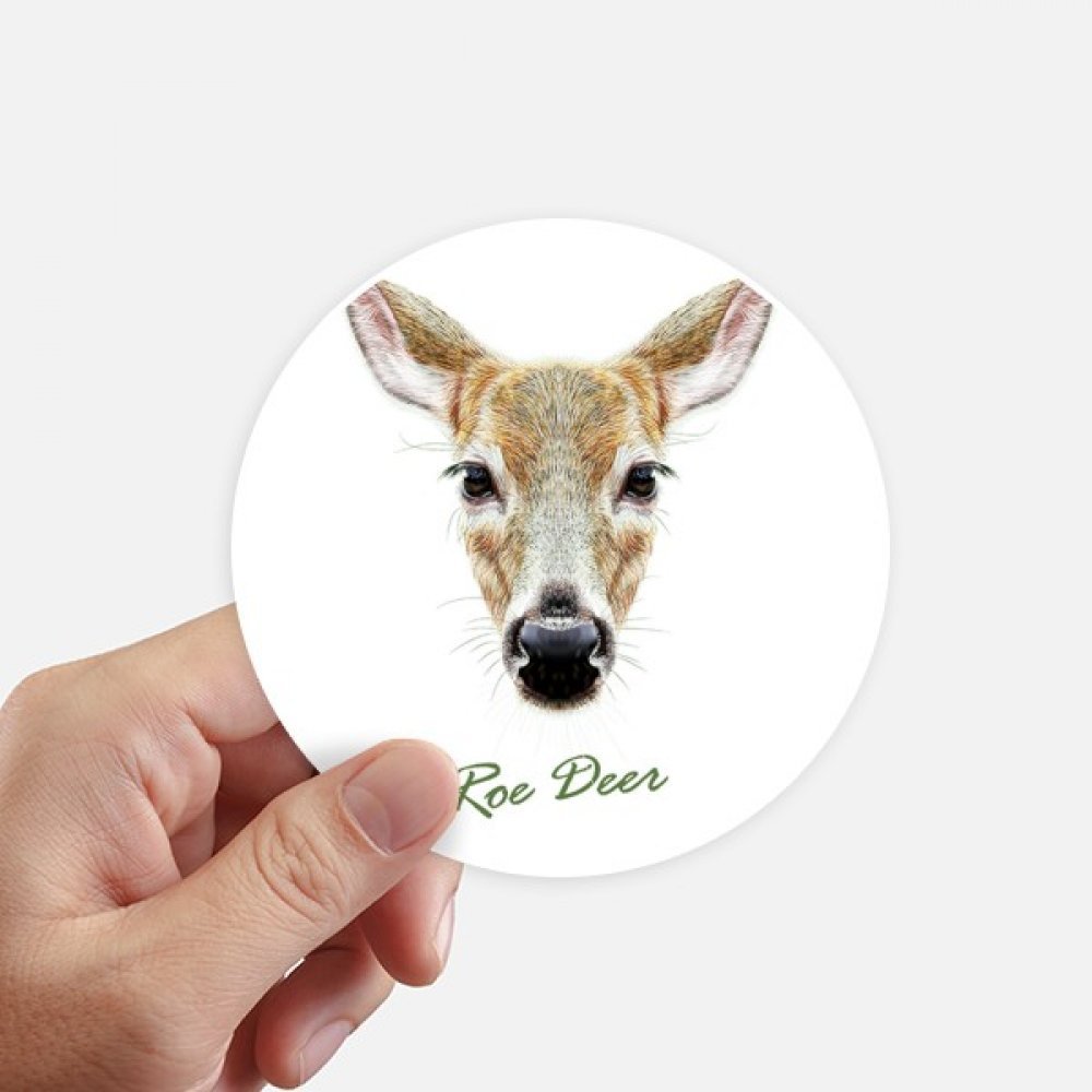 DIYthinker Long-Faced Chestnut Wild Deer Round Stickers, 10 cm, 8 Pieces