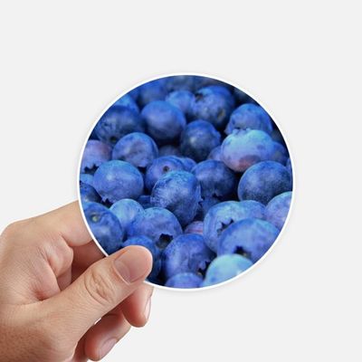 DIYthinker Fresh Blueberry Tropical Fruit Picture Stickers, 10 cm, 8 Pieces, Multicolor