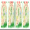 BAMBOO TREE Rice Paper, Round, 22 cm, 4-Pack (4 x 400 g) view 4