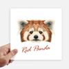 DIYthinker Chestnut Wild Red Panda Animal Square Stickers, 20 cm, 4 Pieces view 1
