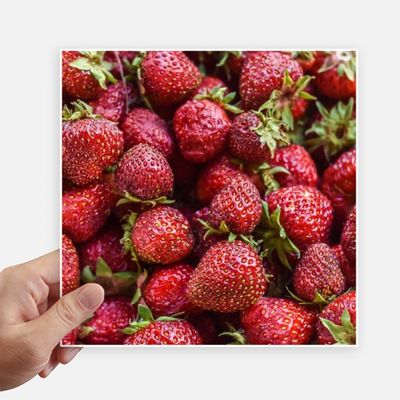 DIYthinker Fresh Red Strawberries Square Stickers, 20 cm, 4-Pack