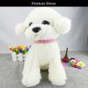 2-Piece Rhinestone Suede Dog Collar Set view 2