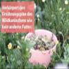 grnhopper Purgrn 3 kg Rabbit Food view 3