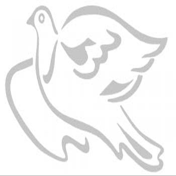 Dove Decal Sticker AP1406, Silver, 40 cm