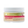 alanui Collagen Hydrolysate (PETAGILE SP) for Dogs, 100 g Canister view 1
