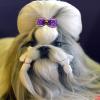 HOLLIHI 32-Piece Pet Hair Bow Set, 16 Pairs with Elastic Bands view 4