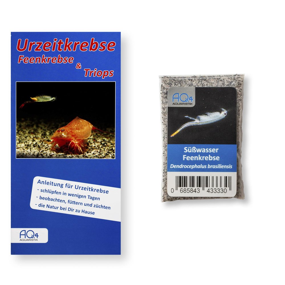Brazilian Freshwater Fairy Shrimp Breeding Starter, 2,000 Eggs