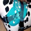 Personalized Dog Harness, Turquoise Dots, Sizes S–XXL view 2