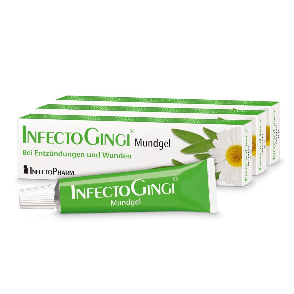 InfectoGingi Mouth Gel, 3 x 6 g – for Mouth Sores and Inflammation | With Lidocaine, Chamomile and Sage