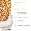 Supravit Pigeon Feed 25 kg Basic Grain Mix view 2