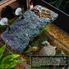 BigTron Willdo Platform for Reptiles view 2