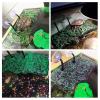 BigTron Willdo Platform for Reptiles view 3