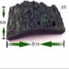 BigTron Willdo Platform for Reptiles view 4
