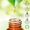 Organic Ginger Essential Oil, 100% Pure, 5 ml view 2