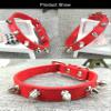 Newtensina Fashion 2-Piece Studded Dog Collar Set for Small Dogs and Cats view 4