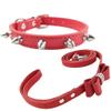 Newtensina Fashion Dog Collar and Leash with Studs view 1