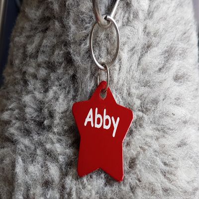 2-Pack Star-Shaped Aluminum Dog Tags, 36 × 35 mm, 10 Colors Available (Red)