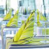 Ventidue Spirit Pistachio Napkins, Cloth-Like, 40 x 40 cm, 50 Count view 2