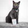 MjAMjAM Premium Wet Cat Food, Tender Duck & Poultry with Carrots, 6-Pack (6 x 400 g), Grain-Free view 4