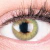GLAMLENS Highly Opaque, Natural Green Silicone Comfort Contact Lenses Rose Green + Case - 1 Pair (2 Lenses) - DIA 14.00 - Prescription -3.50 Diopters view 2