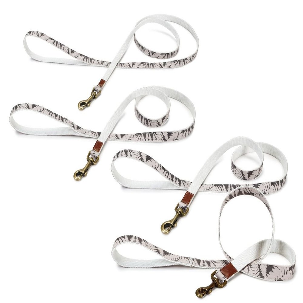 Beeztees Designed by Lotte Virante Oribo Nylon Leash, 25 mm x 120 cm, Beige