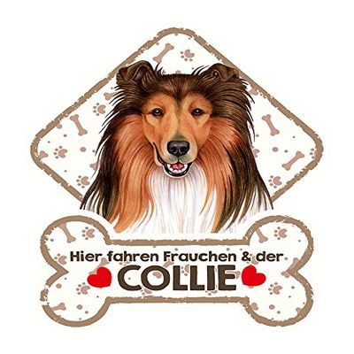 SAB Dog Sign with Suction Cups for Car Window Collie 14
