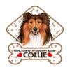 SAB Dog Sign with Suction Cups for Car Window Collie 14 view 1