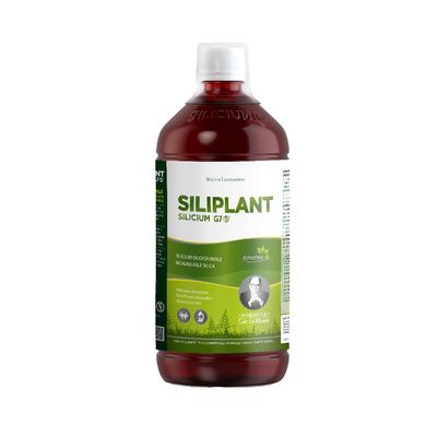 G7 Siliplant Improved Formula, High-Dose Plant-Based Liquid Silicon for Bones, Joints, Hair, Nails and Skin Elasticity, 33-Day Course