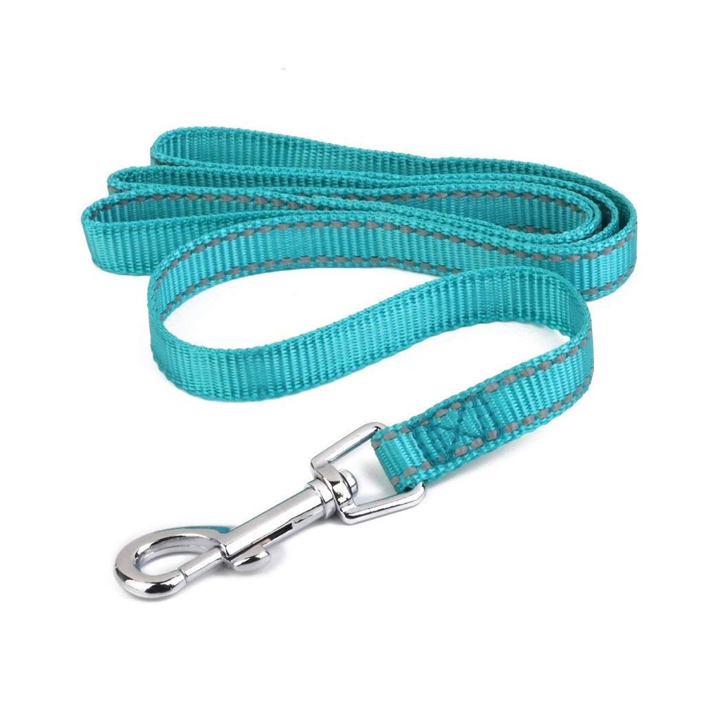 LANYUER Reflective Pet Dog Leash with Clip (2 cm, Turquoise)