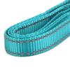 LANYUER Reflective Pet Dog Leash with Clip (2 cm, Turquoise) view 4