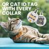 BRONZEDOG Leather Cat Collar with Bell, Non-Rubbing, QR Tag for Boys and Girls (Black and Gold, 18-23 cm) view 3
