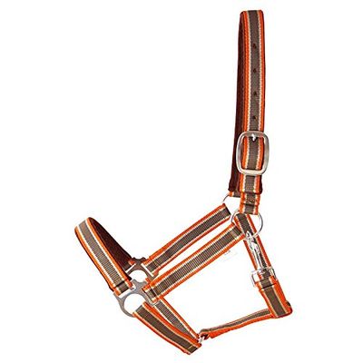 German Riding Plastic Halter Numbers 36 Cob