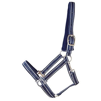 German Riding Plastic Halter Numbers 2 Full