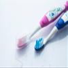 THIENEL 20355 Toothbrushes with Suction Cup, Otto Design, Pink (12-Pack) view 1