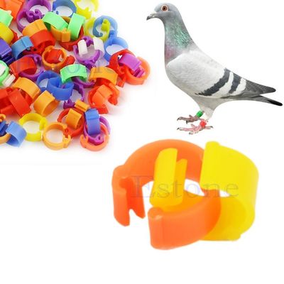 Cuigu 100 Pcs Bird Identification Rings