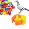 Cuigu 100 Pcs Bird Identification Rings view 1