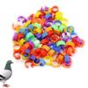 Cuigu 100 Pcs Bird Identification Rings view 2